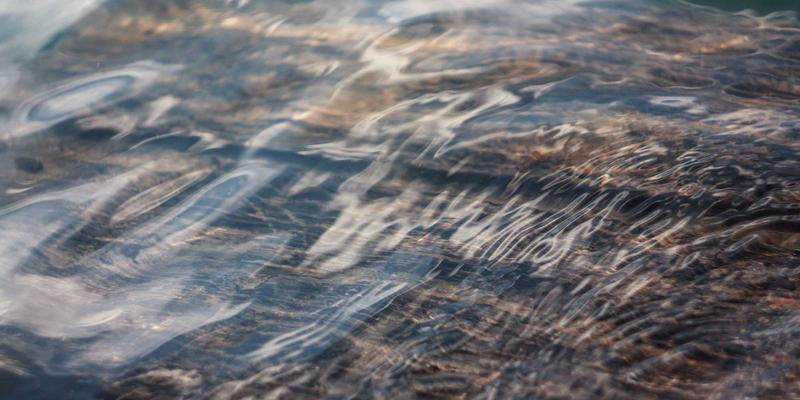 Qingdao Desheng Tailai43：青岛港国际贸易与供应链的卓越枢纽