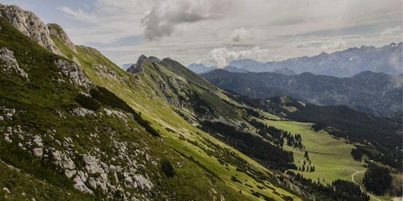 从青岛港出发：德盛泰来详解主要国际航线的船期与运价波动分析