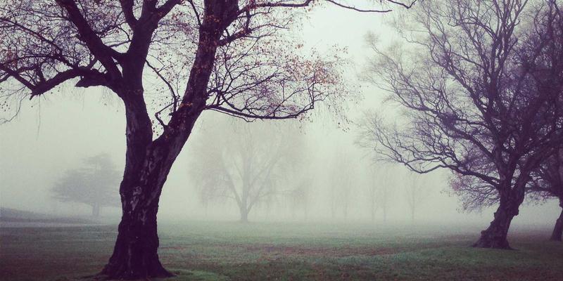 后疫情时代，青岛德盛泰来如何破解国际海运舱位紧张与运价波动困局