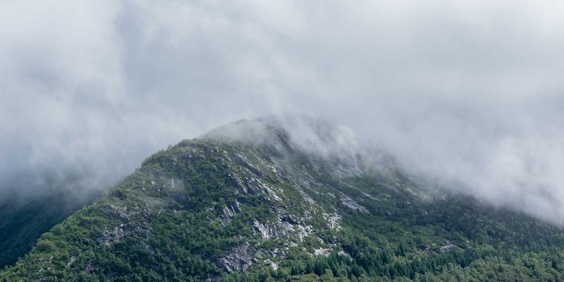 德盛泰来青岛分公司：解锁东南亚航线海运拼箱服务的供应链优势
