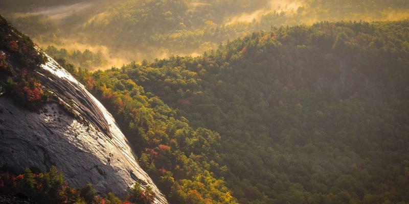 智慧物流新标杆：青岛德盛泰来如何通过创新技术重塑Freight Forwarding与供应链管理