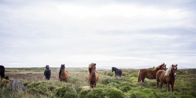 端到端供应链管理：青岛德盛泰来如何通过整合陆运、仓储与海运优化国际贸易物流