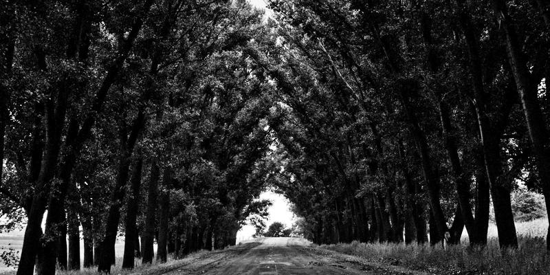 青岛德盛泰来15：供应链优化与专业物流服务的区域领导者