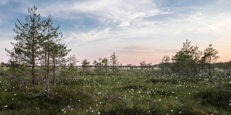 青岛德盛泰来47：连接青岛港与国际物流的贸易桥梁