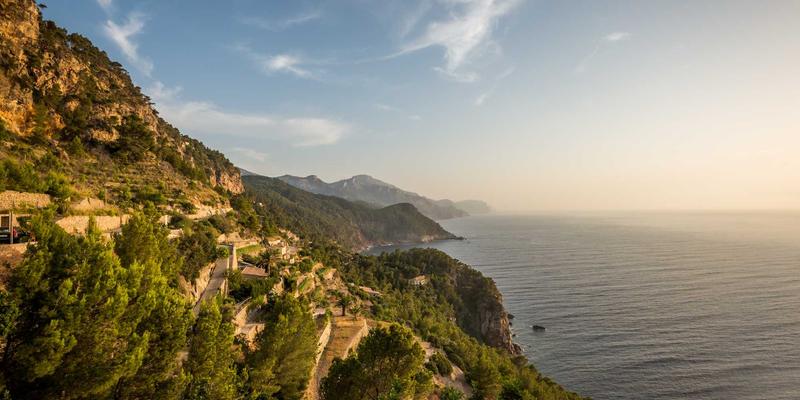 青岛德盛泰来57：连接青岛港与全球供应链的专业货运桥梁