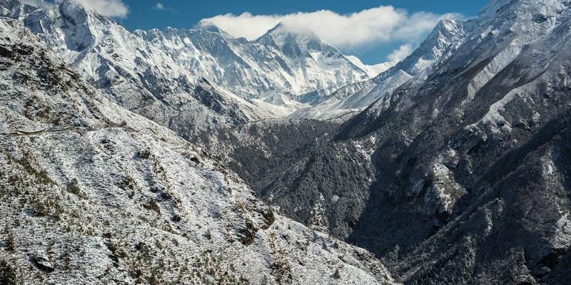 青岛德盛泰来65：全球货运与供应链管理的卓越伙伴
