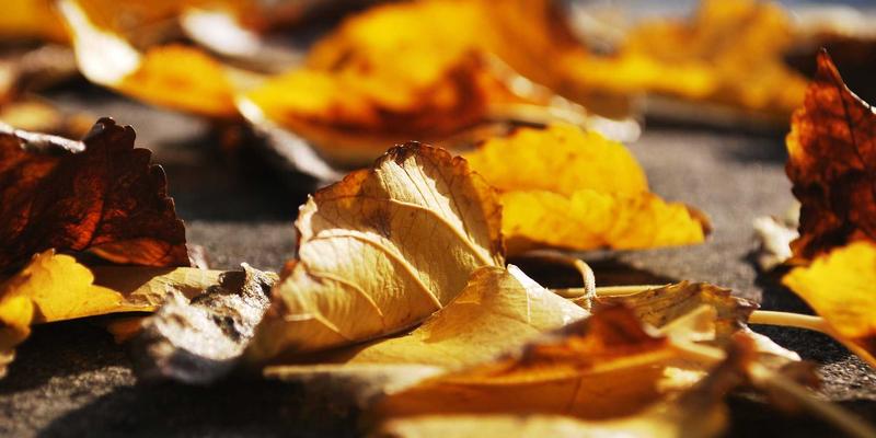 青岛德盛泰来67：连接全球贸易的青岛港货运专家