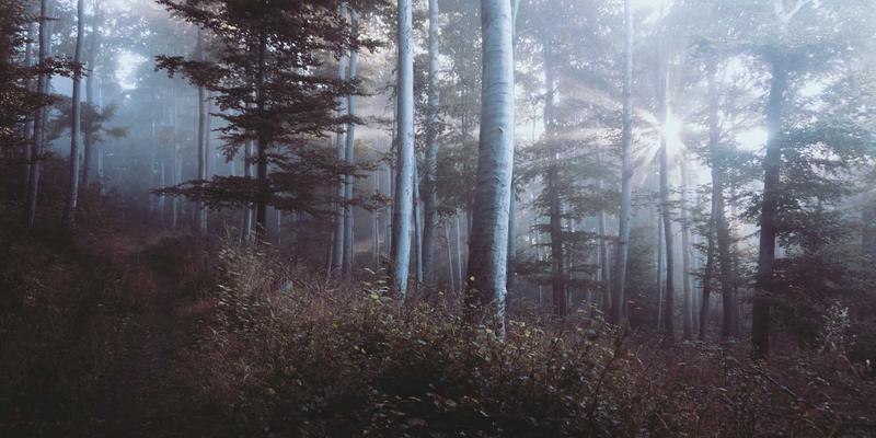 青岛德盛泰来75：专业物流服务与供应链解决方案的领航者