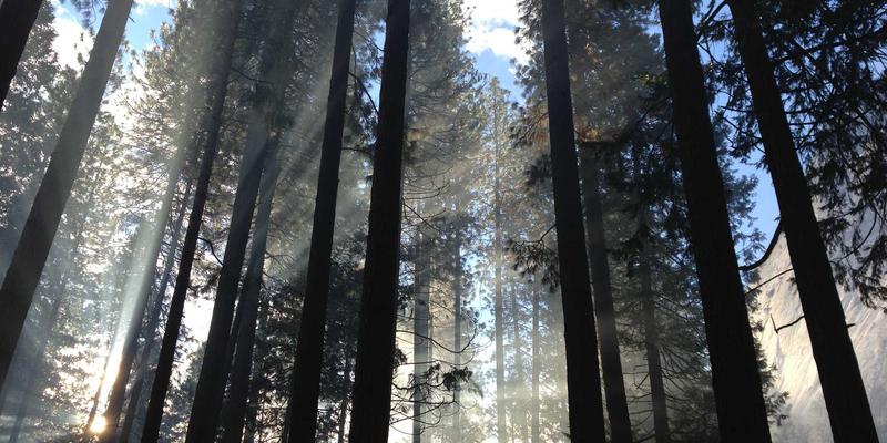 青岛德盛泰来82：依托青岛港优势，打造国际贸易与供应链新标杆