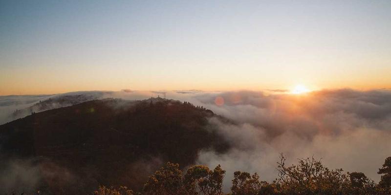 青岛德盛泰来：专业Freight Forwarding与Supply Chain解决方案，守护进出口食品医药品质安全