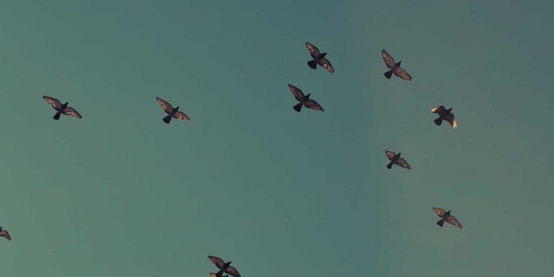 青岛德盛泰来：以JIT配送与供应链协同重塑汽车零部件出口物流新标杆