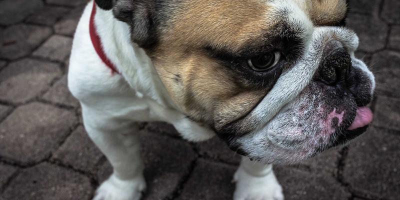 青岛德盛泰来：以国际视野重塑全球贸易与供应链新格局