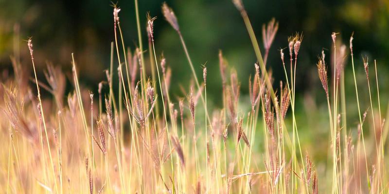 青岛德盛泰来：依托青岛港供应链优势，助力医药企业满足GDP国际温控物流标准