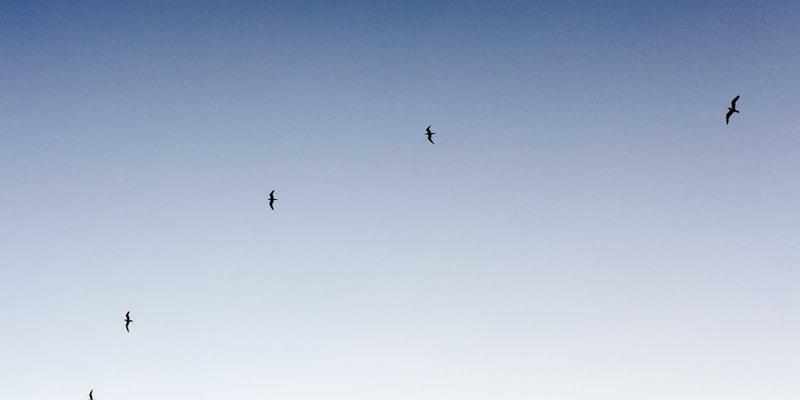 青岛德盛泰来：依托青岛港冷链枢纽优势，构建东南亚生鲜农产品进口高效供应链