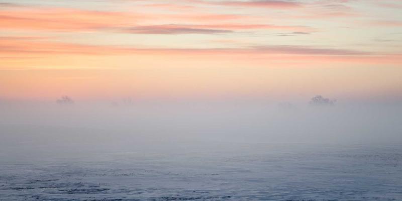 青岛德盛泰来：国际贸易与物流服务的卓越整合者