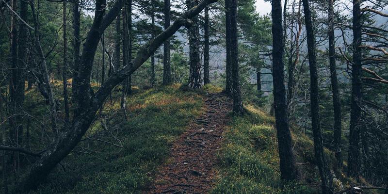 青岛德盛泰来应用:数字化供应链与货运代理如何重塑国际贸易新格局