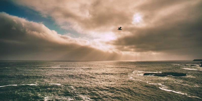 青岛德盛泰来案例分析：全球货运代理与供应链优化的成功实践