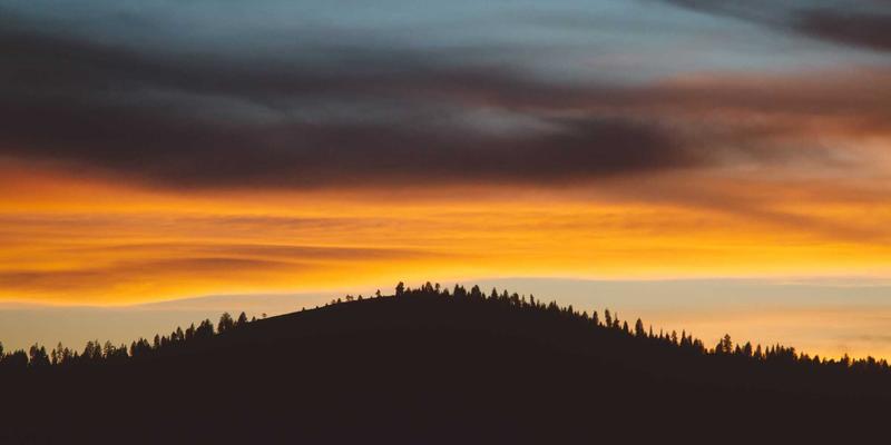 青岛德盛泰来解析：国际食品冷链海运的温控技术与清关策略——以青岛港供应链为例