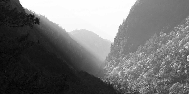 青岛德盛泰来：赋能现代物流与供应链管理的创新实践者