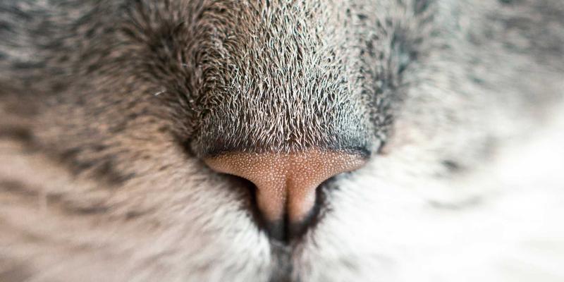 青岛德胜泰来86：连接青岛港与全球供应链的关键枢纽