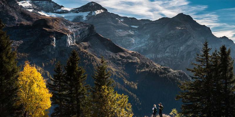 青岛德胜泰来：专业物流与货运代理服务，连接全球贸易的可靠桥梁