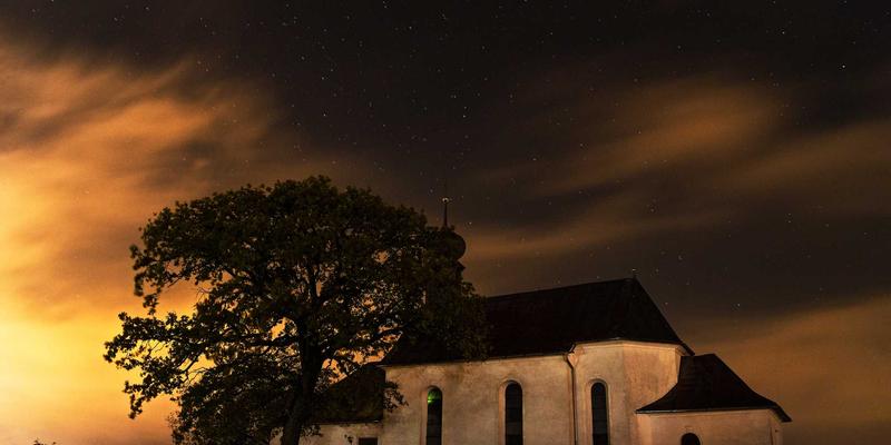 青岛港与德盛泰来：现代供应链体系中的协同力量