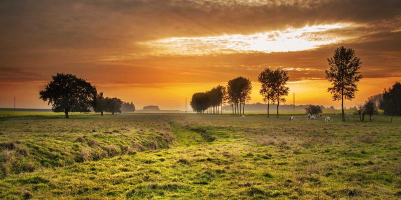 青岛港德胜泰来：连接全球的物流服务新枢纽